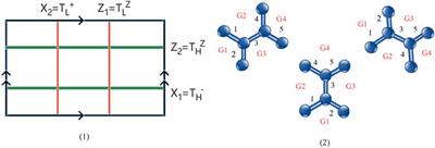 Determining quantum topological semion code decoder performance and error correction effectiveness with reinforcement learning